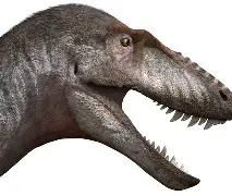 开云体育网页版-暴龙遭遇连胜，登基东部领导霸气蓄势